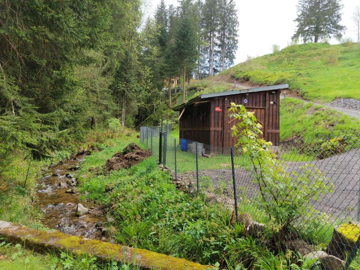 Le Refuge Perche Du Saut De La Bourrique Spa, Terrain Cloture Gérardmer Exterior foto