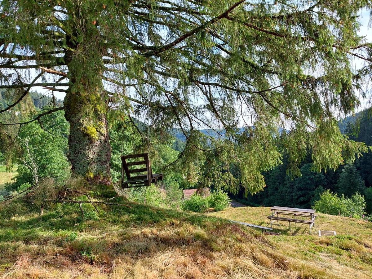 Le Refuge Perche Du Saut De La Bourrique Spa, Terrain Cloture Gérardmer Exterior foto