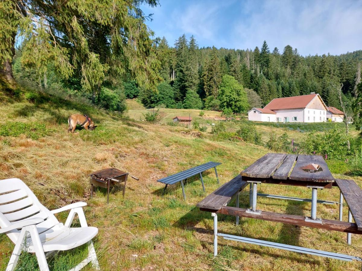 Le Refuge Perche Du Saut De La Bourrique Spa, Terrain Cloture Gérardmer Exterior foto